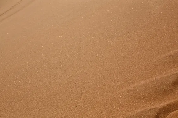 Kasyno Bingo Millionaire Wsparcie